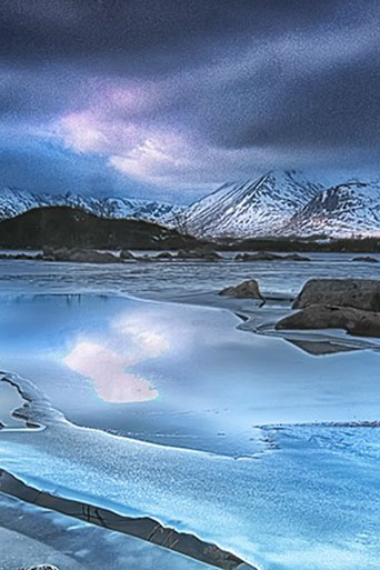 gallerylinklandscape.jpg
